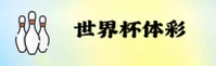 功能与服务详解
